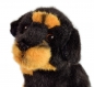 Preview: Rottweiler mini